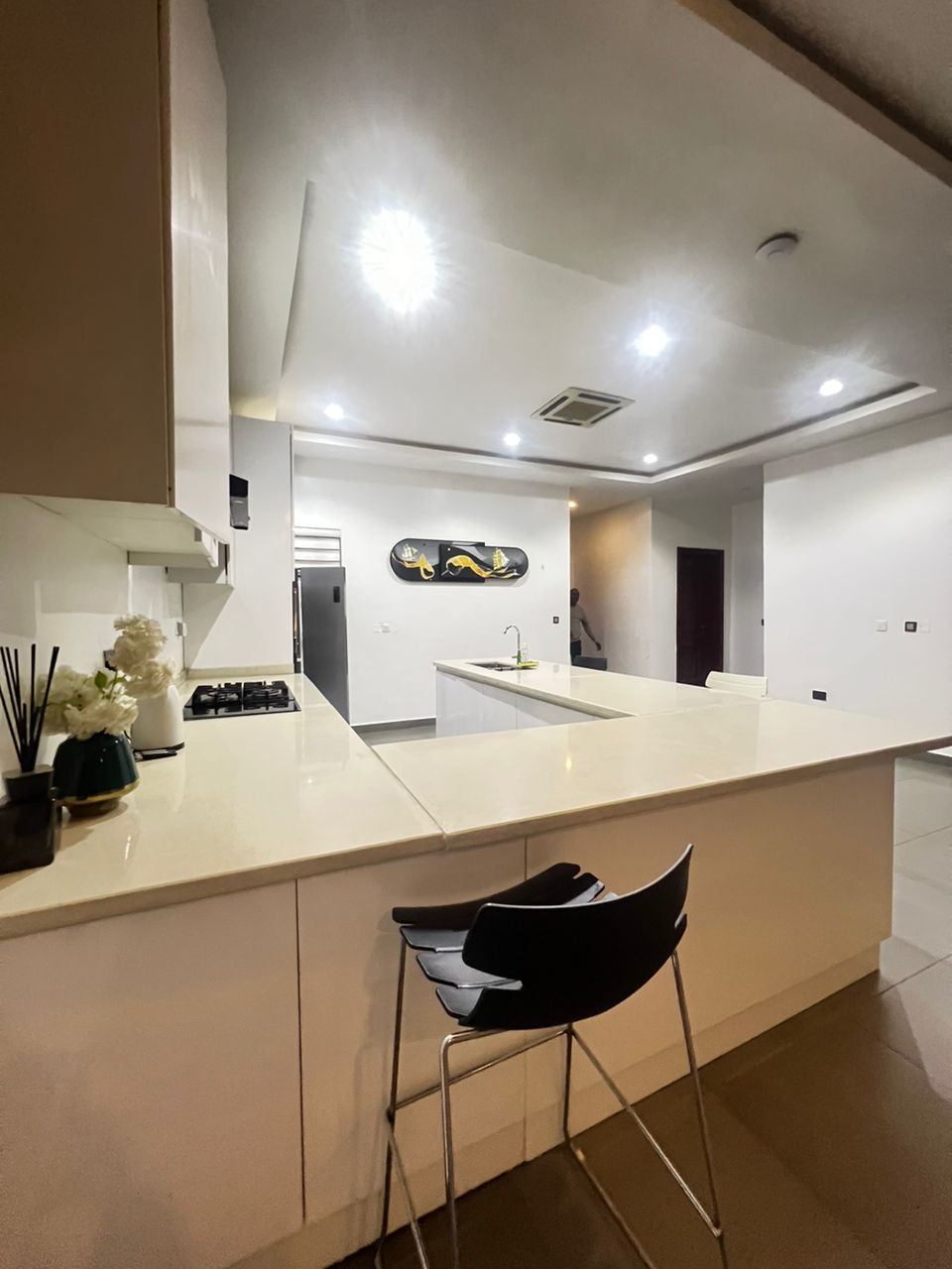 Mikuch. 2-bedroom apartment.